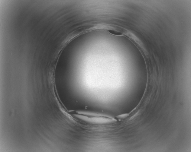 X0000070241049200606161841