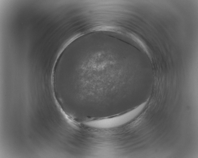 X0000070241050200606161841