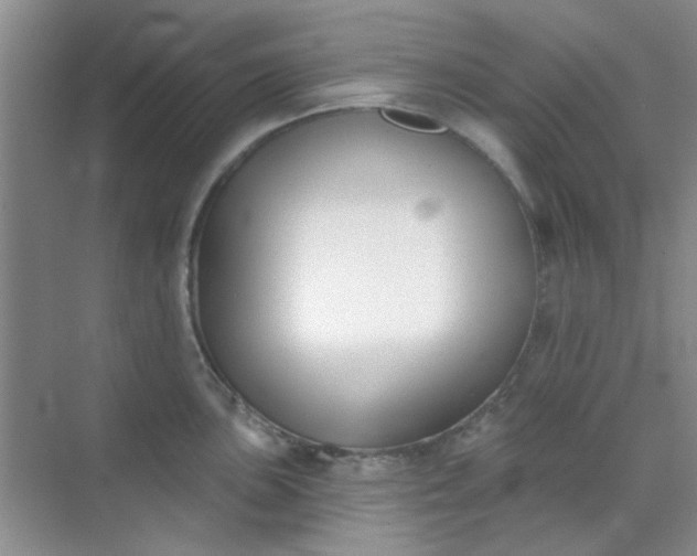 X0000070241051200606161841