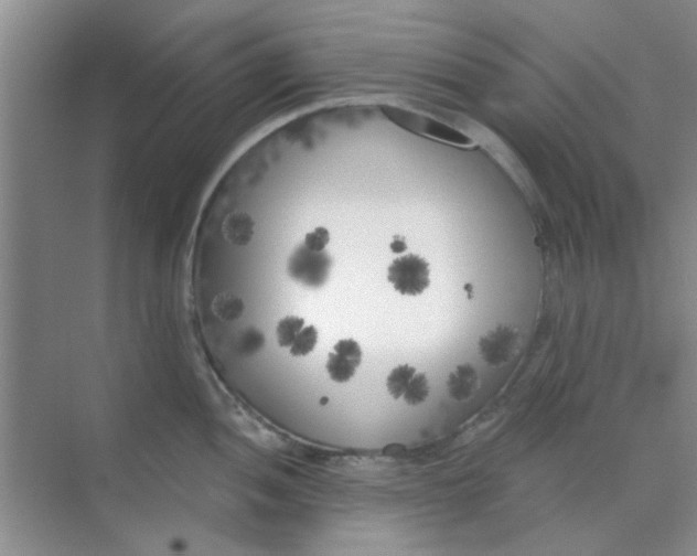 X0000070241052200606161841