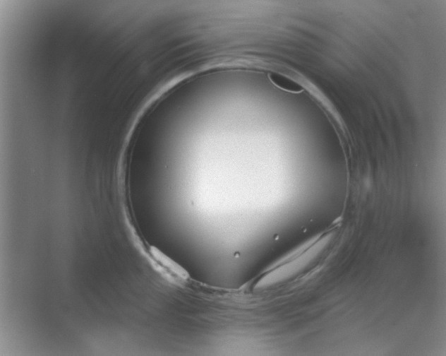 X0000070241053200606161841