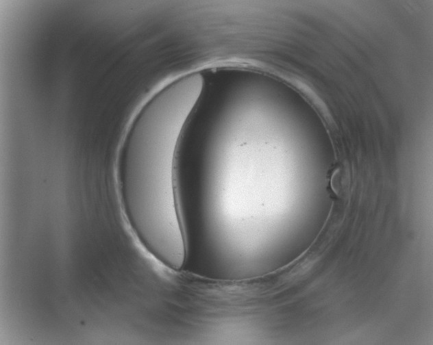 X0000070241054200606161841