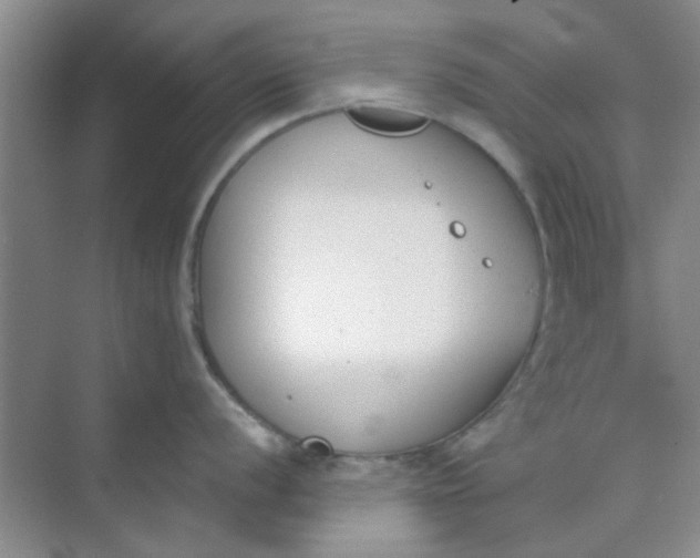 X0000070241056200606161841