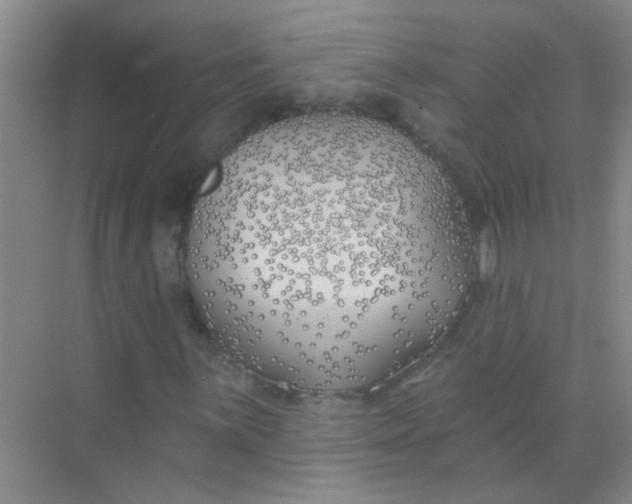 X0000070241059200606161840