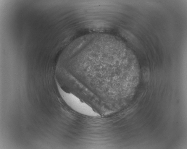 X0000070241060200606161840