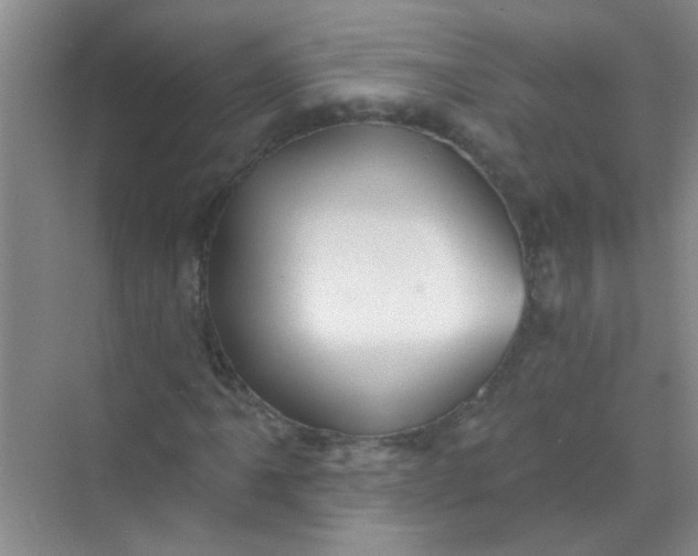 X0000070241061200606161840