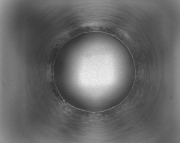 X0000070241062200606161840