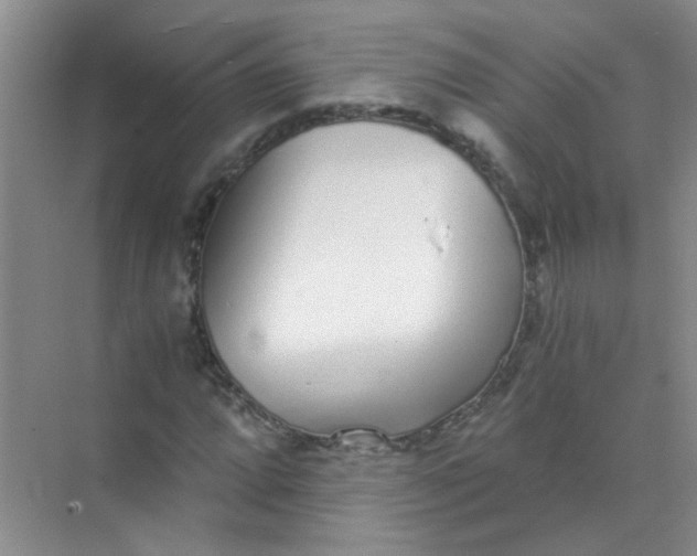 X0000070241064200606161840