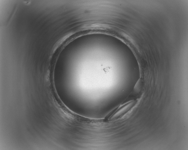 X0000070241066200606161840