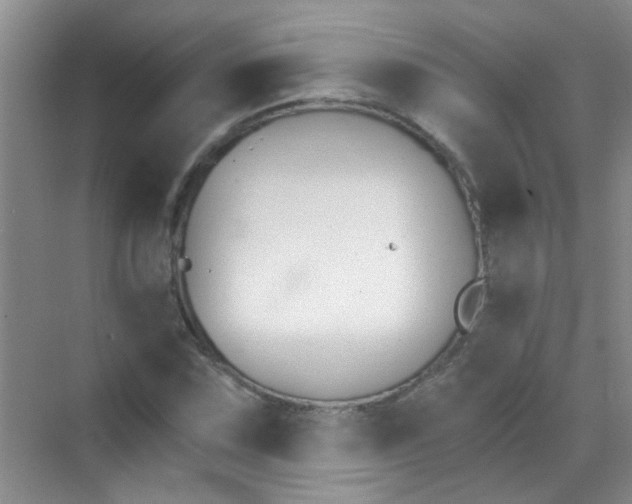 X0000070241067200606161840