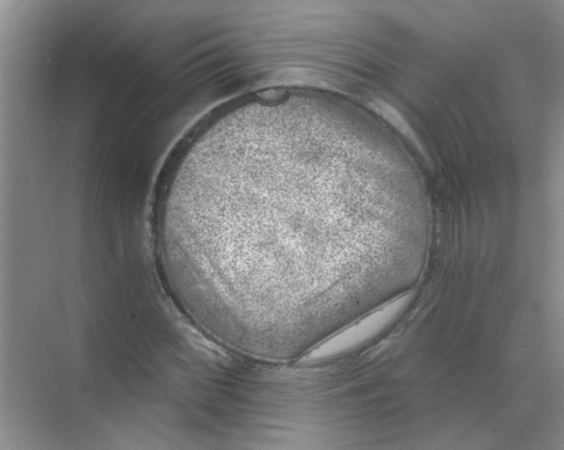 X0000070241068200606161840