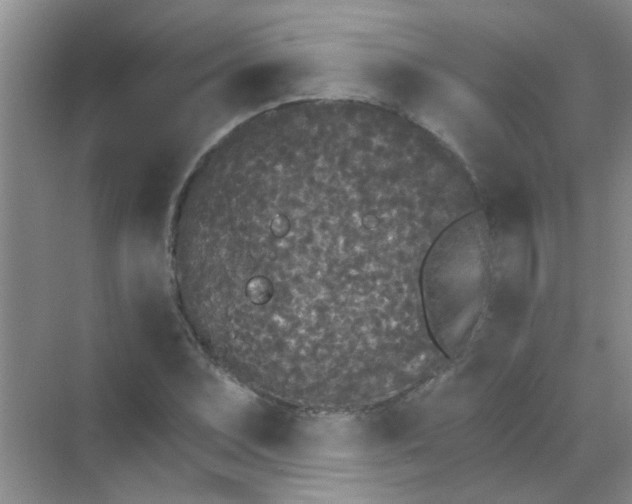 X0000070241071200606161840