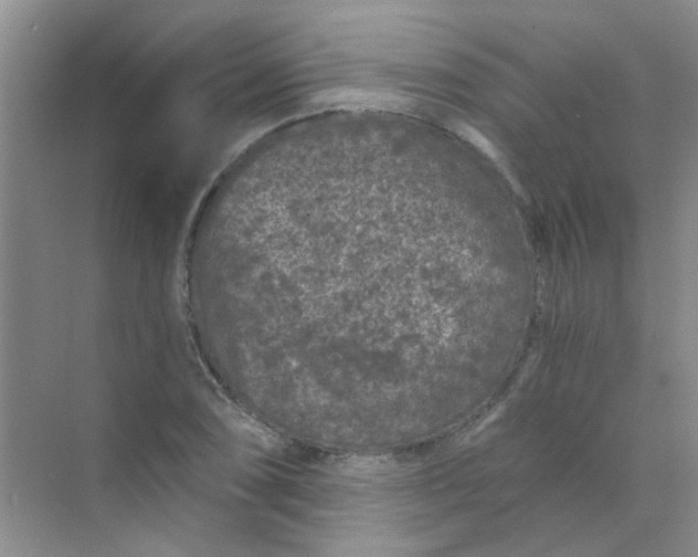 X0000070241074200606161840