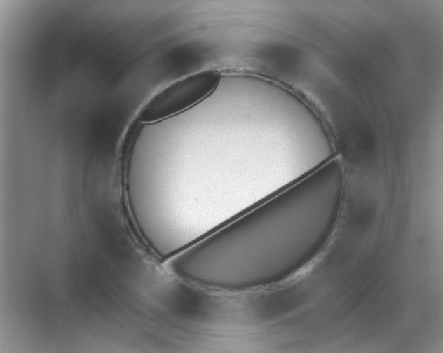 X0000070241075200606161840