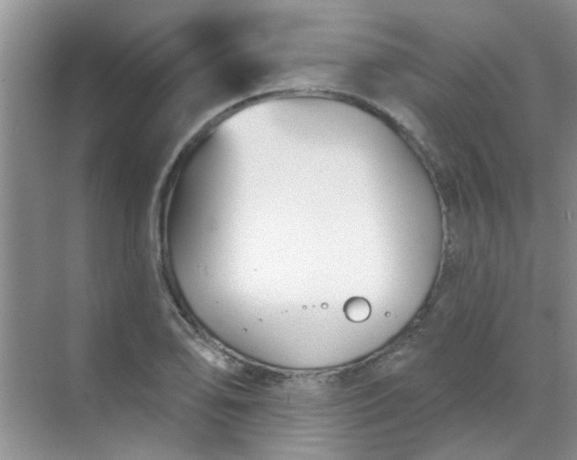 X0000070241078200606161840