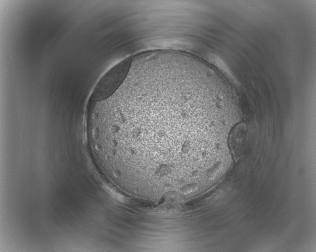 X0000070241079200606161840