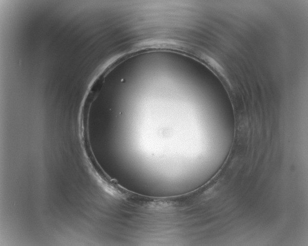 X0000070241082200606161839