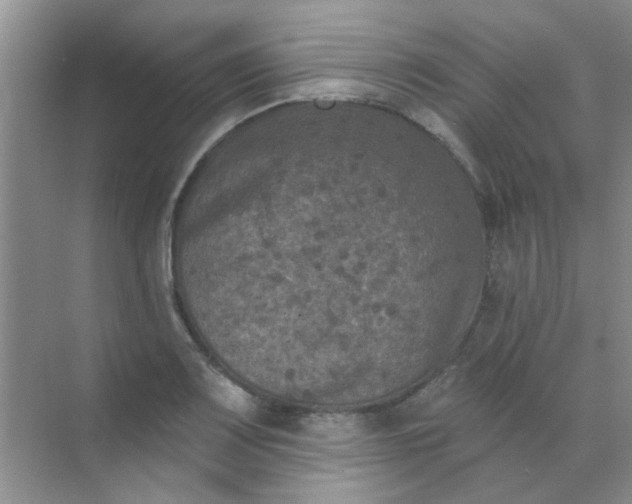 X0000070241083200606161839