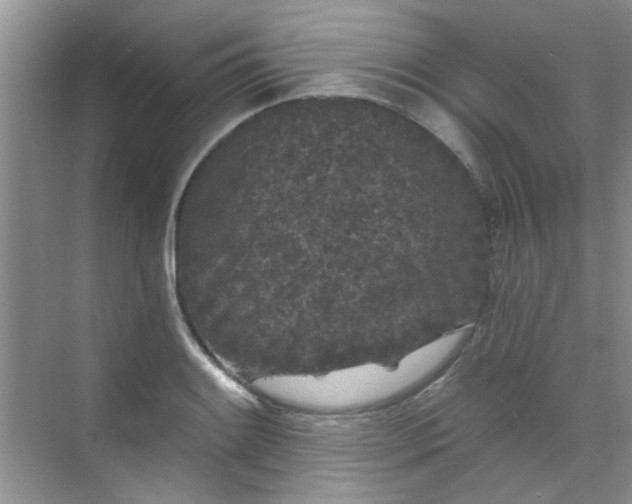 X0000070241084200606161839