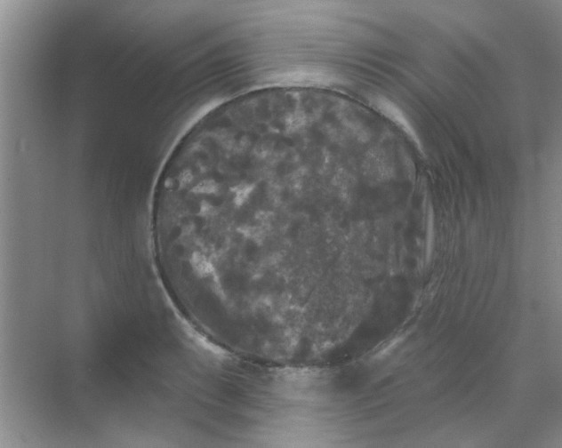 X0000070241087200606161839