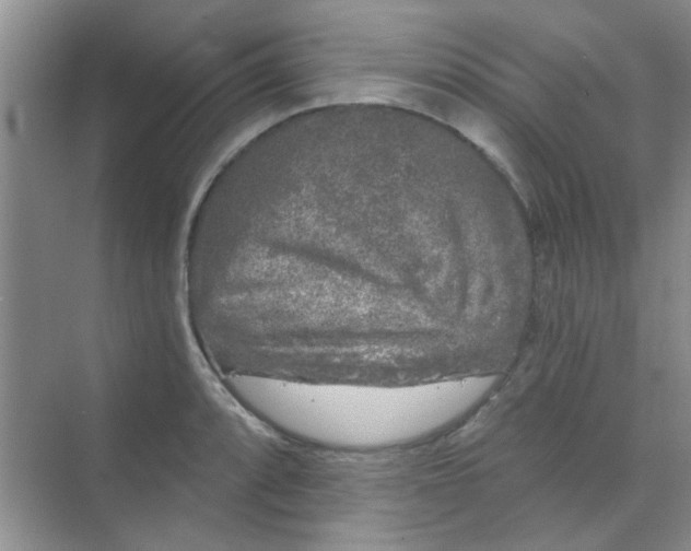 X0000070241088200606161839