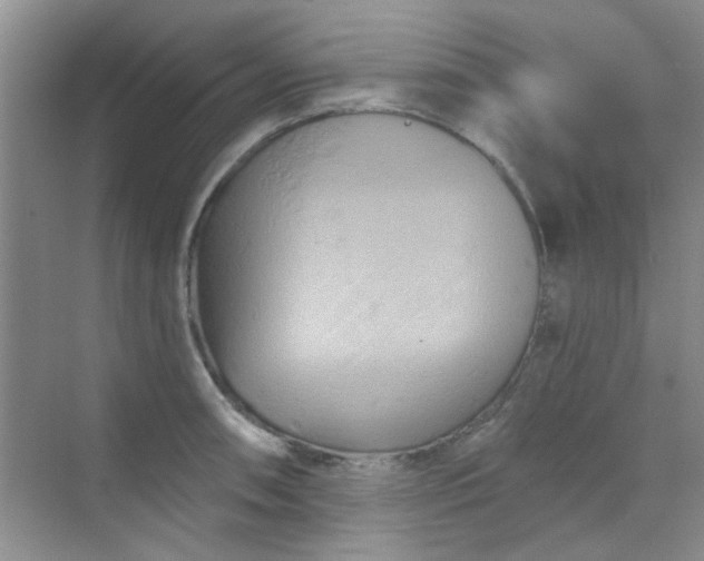 X0000070241090200606161839