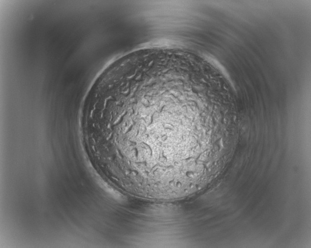 X0000070241091200606161839