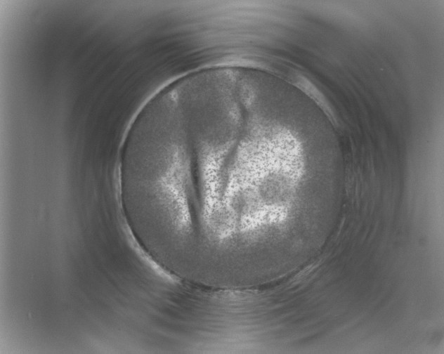 X0000070241092200606161839