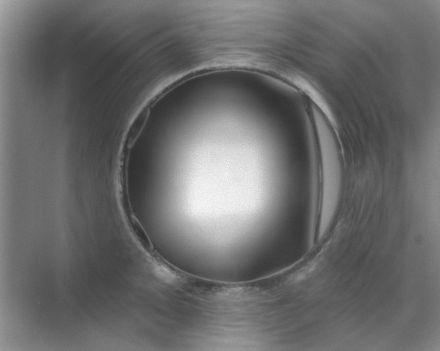 X0000070241093200606161839