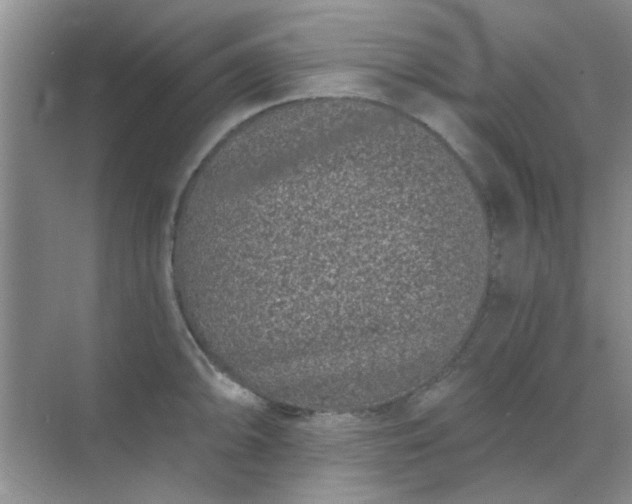 X0000070241094200606161839