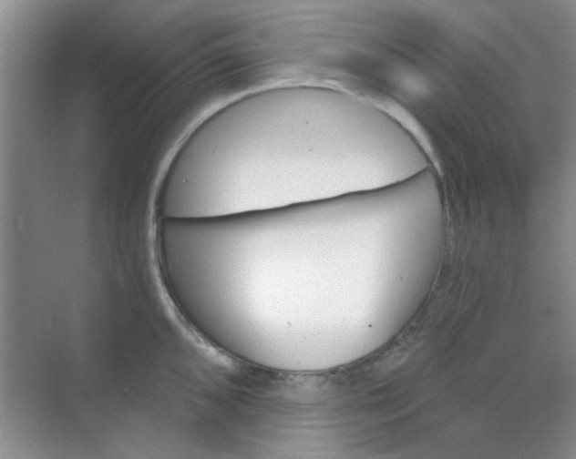 X0000070241096200606161839