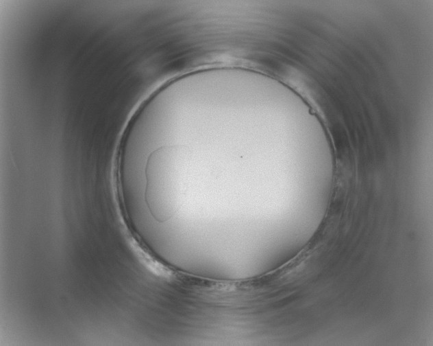 X0000070241098200606161839