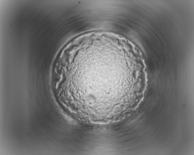 X0000070241099200606161839