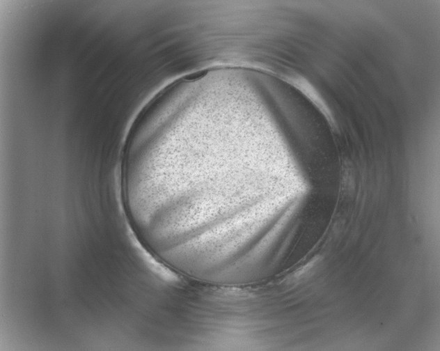 X0000070241100200606161839