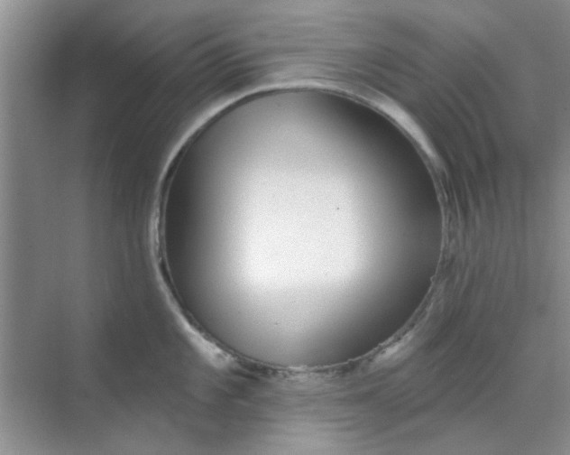 X0000070241101200606161839