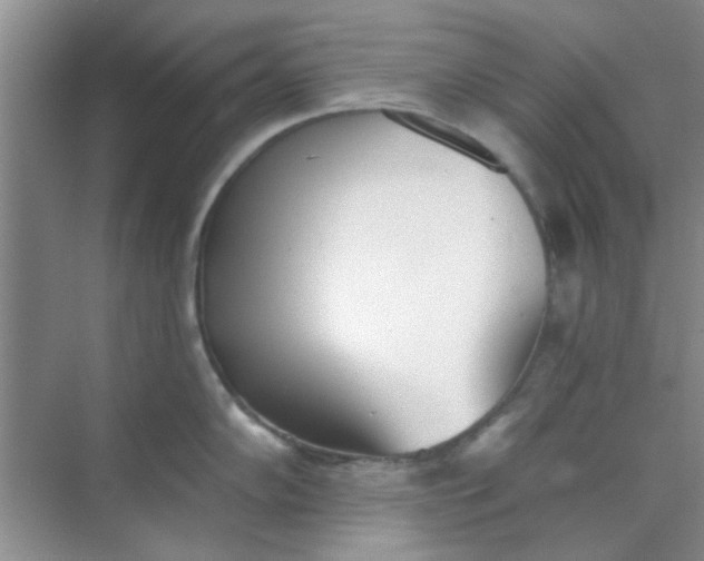 X0000070241102200606161839