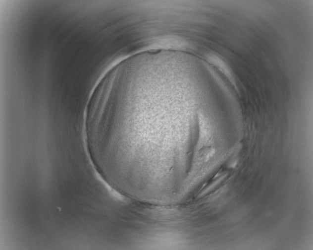 X0000070241103200606161839