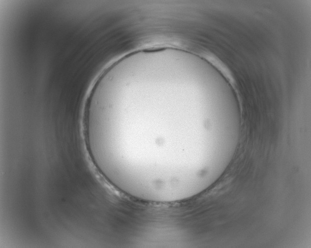 X0000070241104200606161839