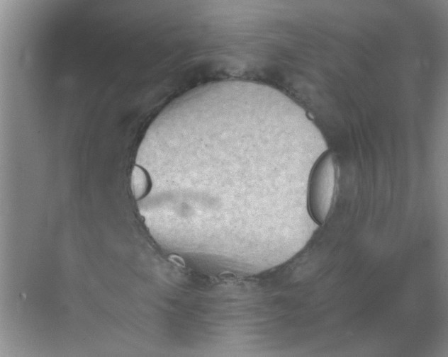 X0000070241105200606161838