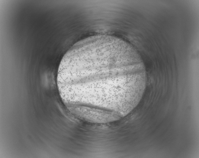 X0000070241106200606161838