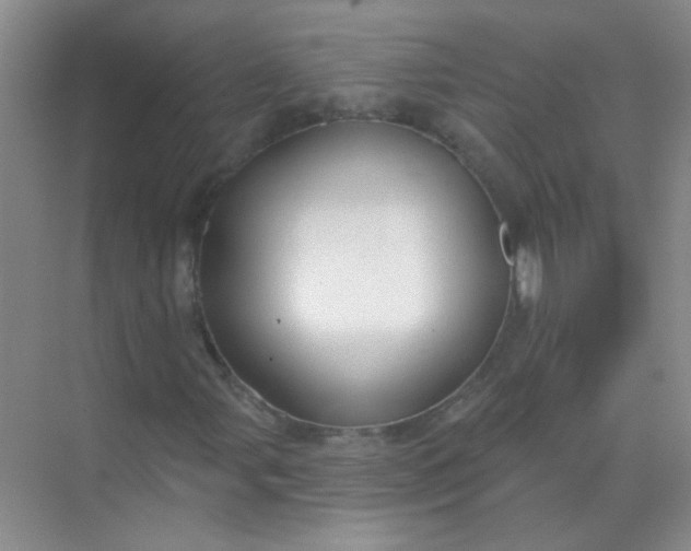 X0000070241107200606161838