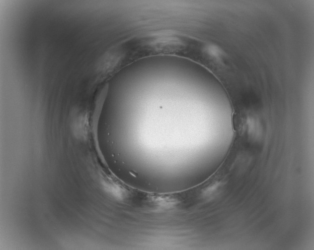 X0000070241108200606161838