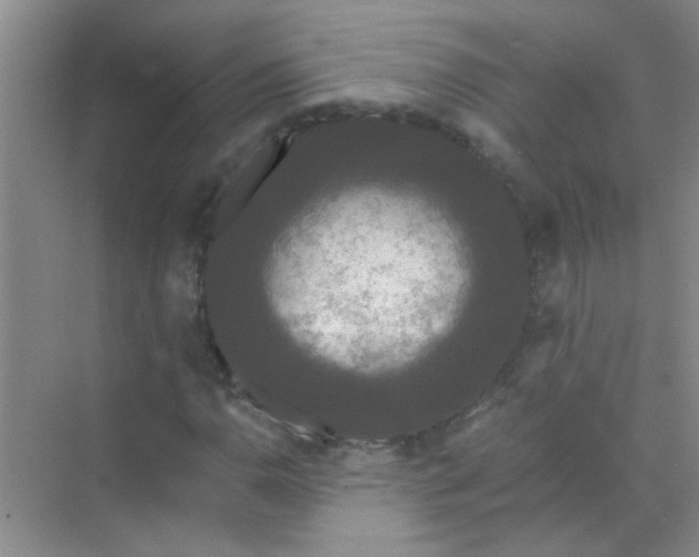 X0000070241110200606161838