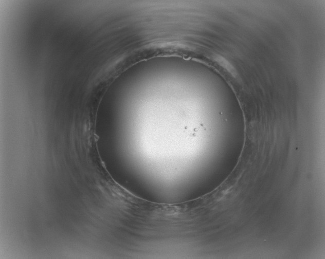 X0000070241111200606161838