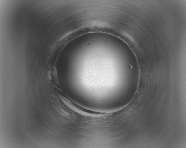 X0000070241112200606161838