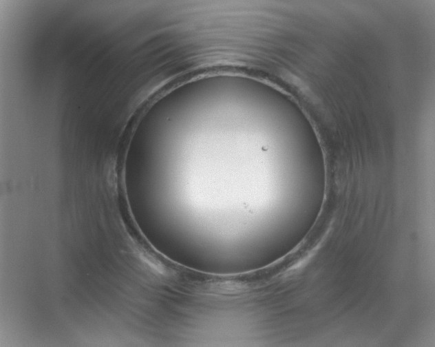 X0000070241113200606161838