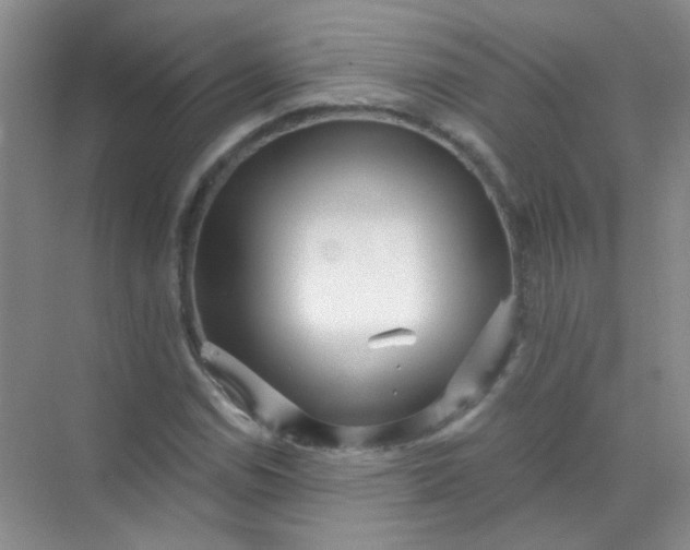 X0000070241114200606161838