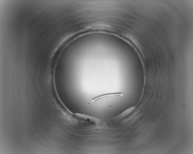 X0000070241115200606161838