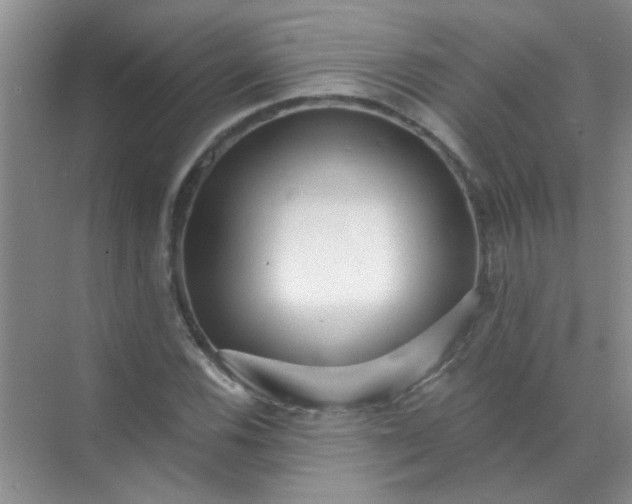 X0000070241116200606161838