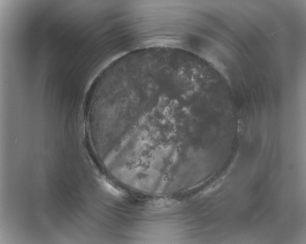 X0000070241117200606161838